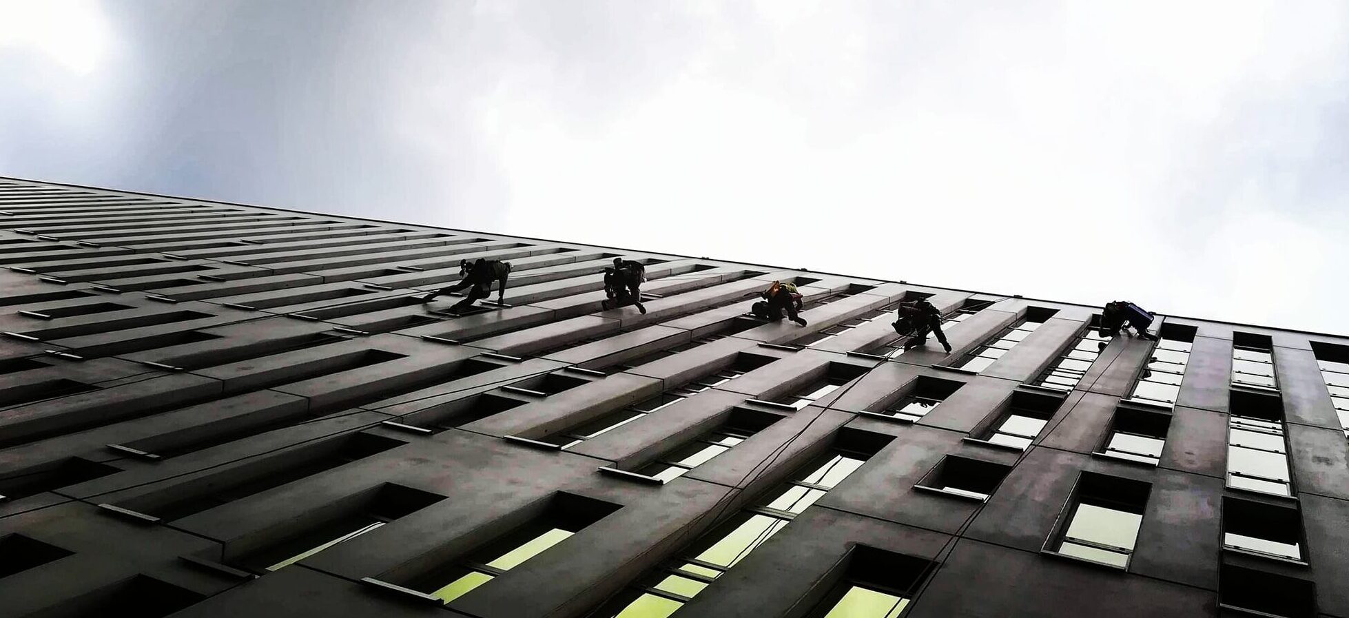 120108776 110643464126565 6619794563401306644 n